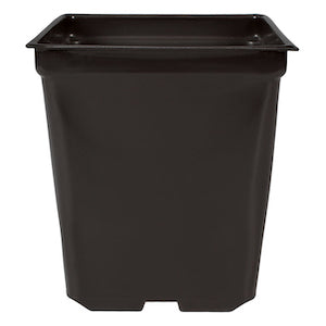 DL SQUARE POT 1.25QT 5 X 5 X 4.5"