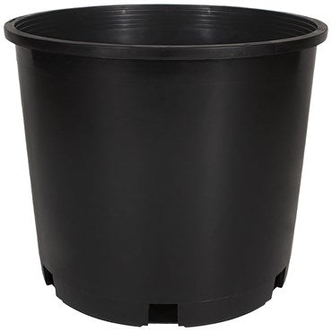 THE HC CO DILLEN PROCAL ROUND SQUAT NURSERY POT - 5 GAL - 12.5 IN x 9 IN