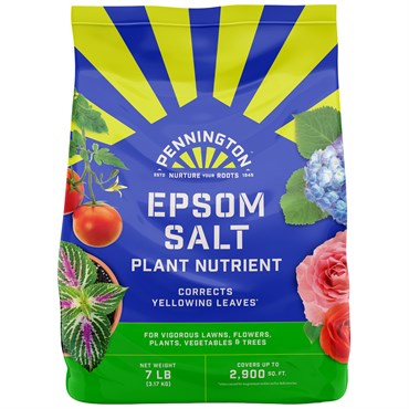 PEN EPSOM SALT 7LB