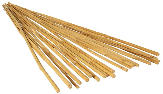 BAMBOO STAKES 6 FT