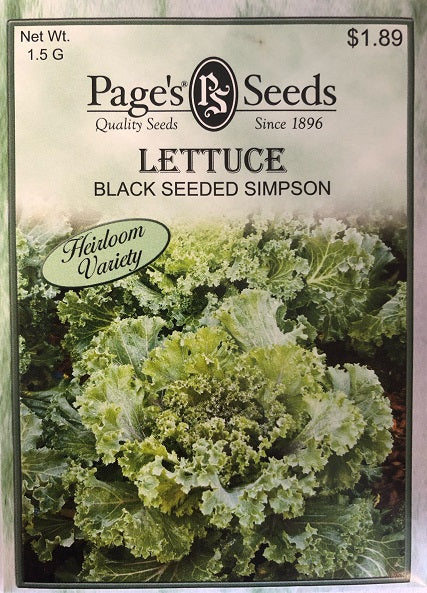 LETTUCE - BLACK SEEDED SIMPSON 1.5G HEIRLOOM NON GMO