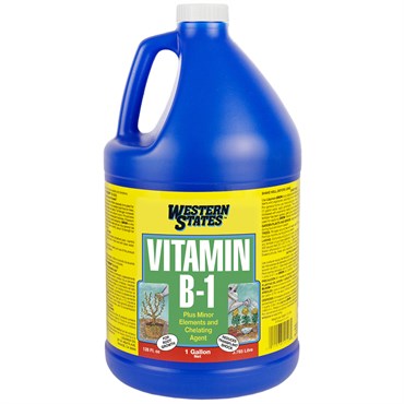LC WESTERN STATES B1 - 1 GAL