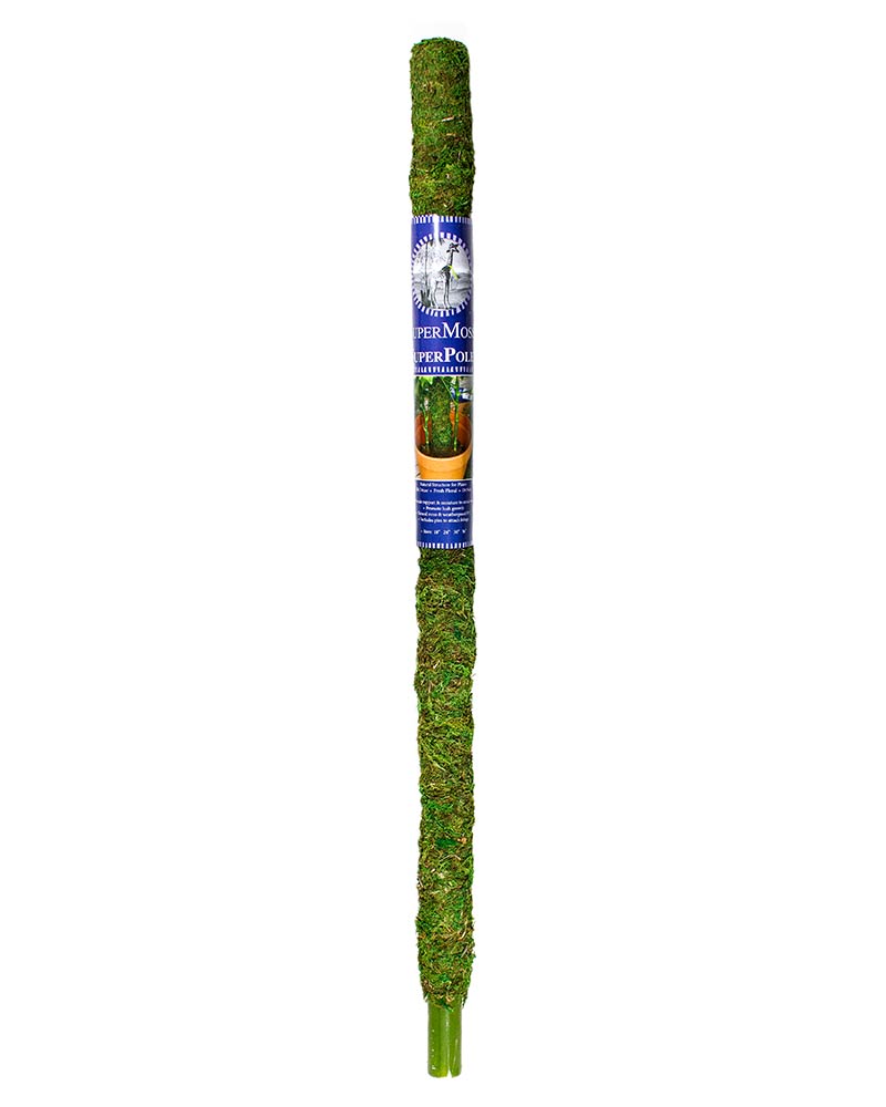 skinny moss pole SUPERMOSS GREEN MOSS POLE 36IN