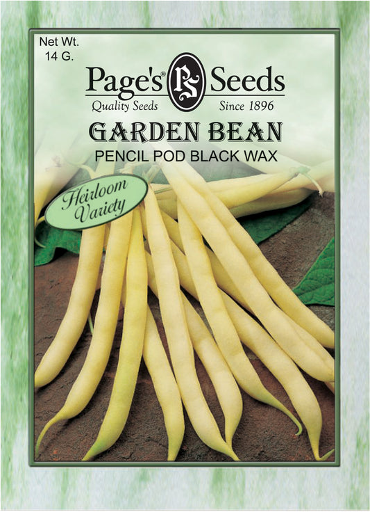 GARDEN BEAN - PENCIL POD  BLACK WAX14 G HEIRLOOM NON GMO