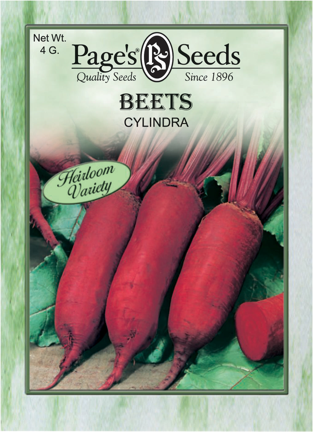 BEETS - CYLINDRA 4G HEIRLOOM NON GMO