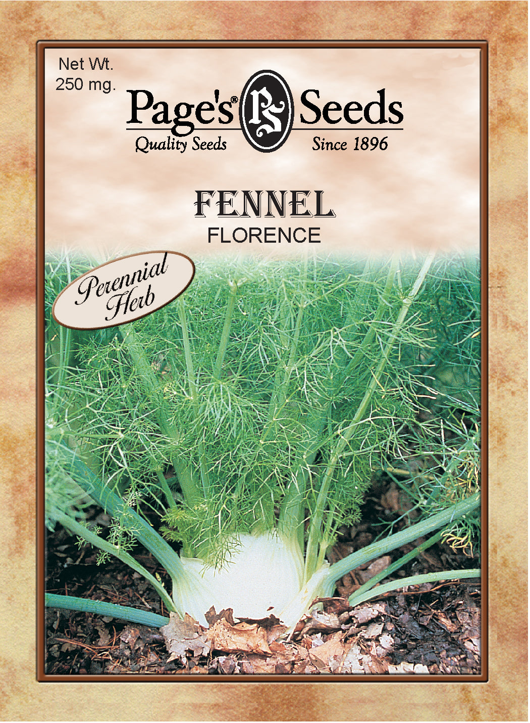 FENNEL - FLORENCE 250MG HEIRLOOM NONGMO
