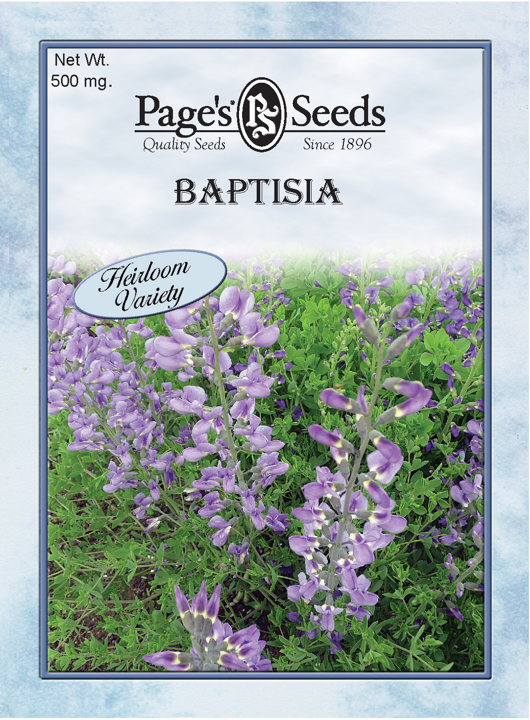 BAPTISIA - BLUE WILD INDIGO 500 MG HERILOOM NON GMO