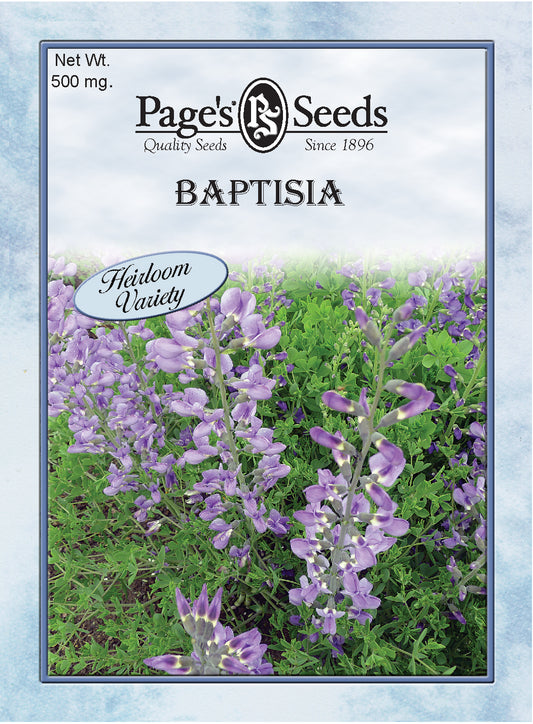 BAPTISIA - BLUE WILD INDIGO 500 MG HERILOOM NON GMO