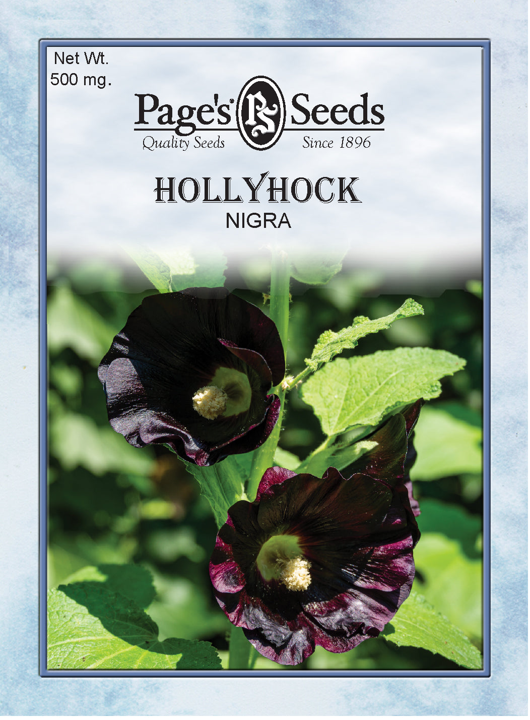 HOLLYHOCK - NIGRA 500MG NON GMO