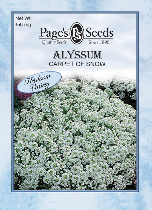 ALYSSUM - CARPET OF SNOW 350 MG HEIRLOOM NON GMO