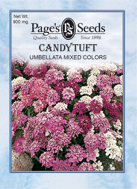 CANDYTUFT - UMBELLATA MIX 900MG NON GMO