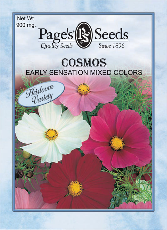 COSMOS - EARLY SENSATION MIXED COLORS 900MG HEIRLOOM NON GMO