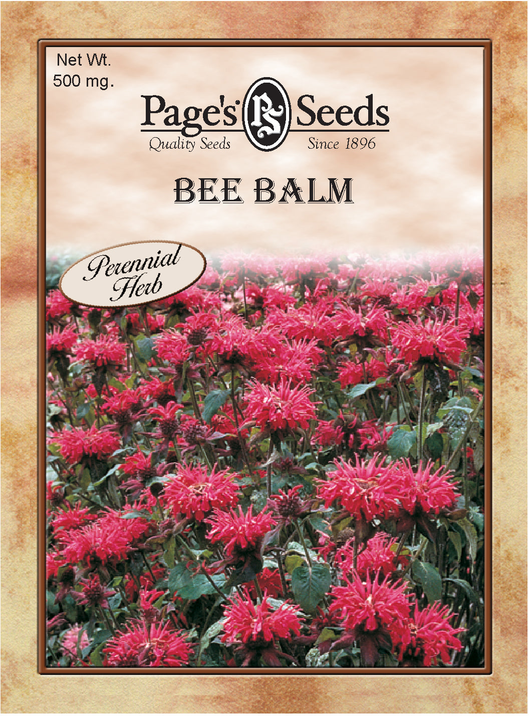 BEE BALM 500MG HEIRLOOM NON GMO