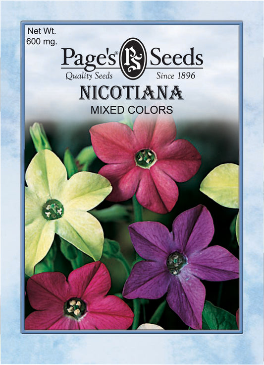 NICOTIANA - SENSATION HYBRIDS 600MG NON GMO