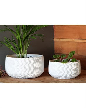 PHG AVENUE CORRUGATED BOWL PLANTER - 8.5IN - WHITE