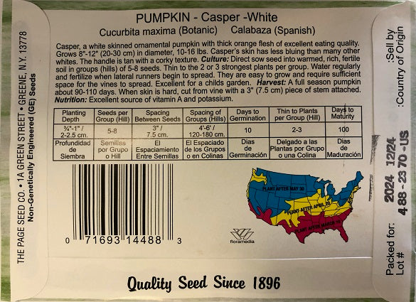 PUMPKIN - CASPER 1G NON GMO