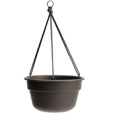 BLOEM DURA COTTA HANGING BASKET - 12 IN - PEPPERCORN