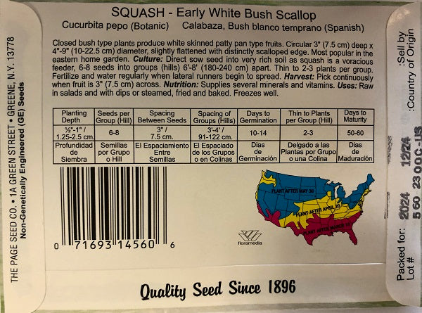 SQUASH EARLY WHITE BUSH SCALLOP 4G HEIRLOOM NON GMO