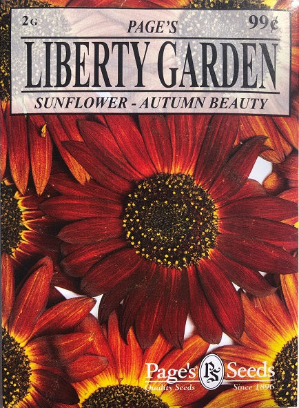 LIBERTY SUNFLOWER - AUTUMN BEAUTY 2G
