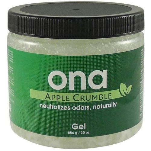 ONA GEL APPLE CRUMBLE 30 OZ