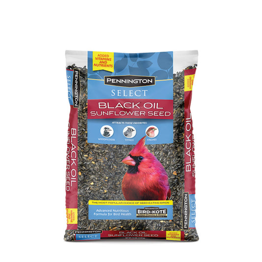 PENNINGTON SELECT BLACK OIL SUNFLOWER SEED 10 LB