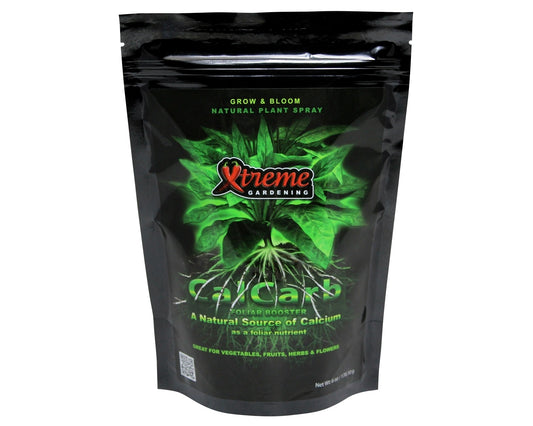 XT CALCARB 6 OZ