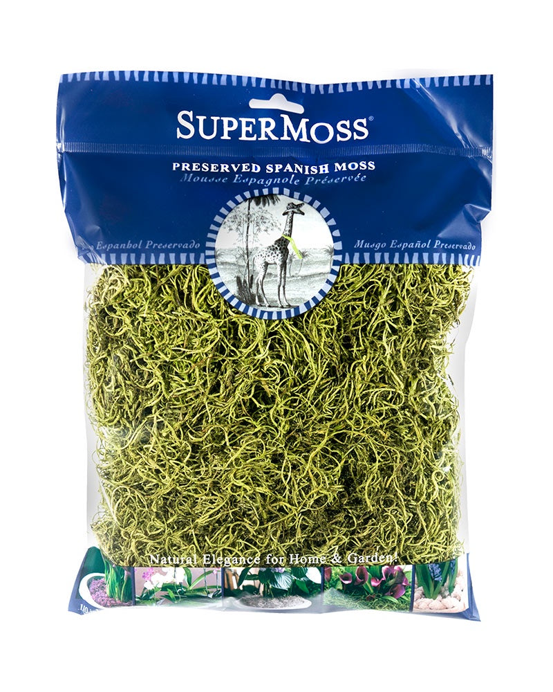 SUPERMOSS PRESERVED SPANISH MOSS - 4 OZ - 175 CU IN - CHARTREUSE
