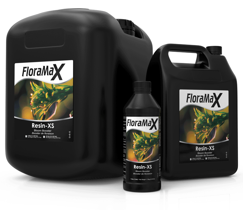 FM RESIN XS 1 QT