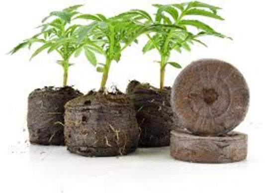 JIFFY 7 36MM PEAT PELLET EACH
