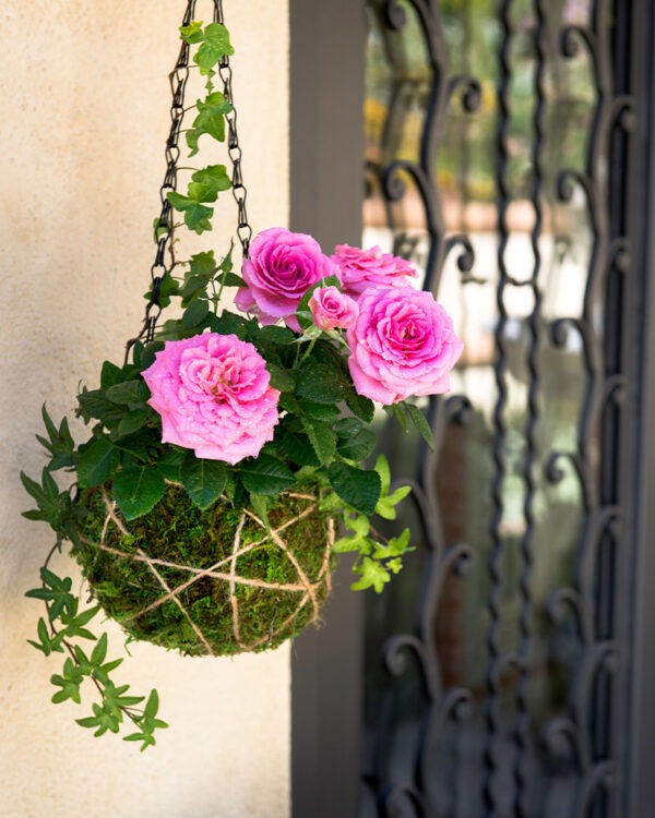 KOKEDAMA & DECORATIVE MOSS