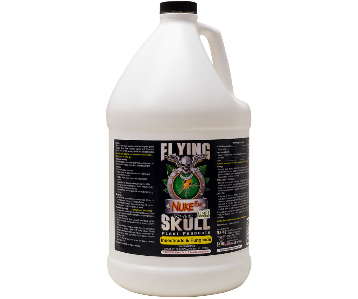 Flying Skull