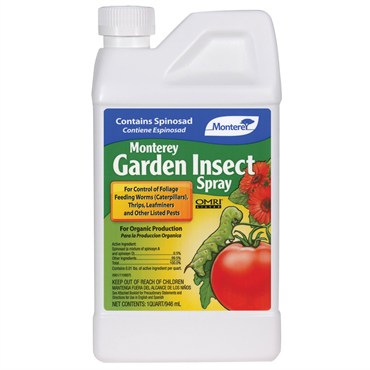 MGP GARDEN INSECT SPRAY CONCENTRATE 1QT