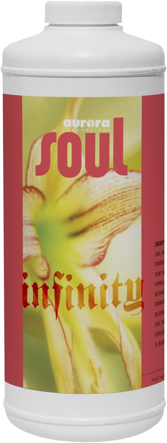 AURORA SOUL INFINITY QT