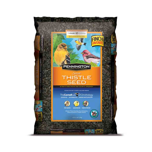 PENNINGTON SELECT THISTLE SEED 5 LB