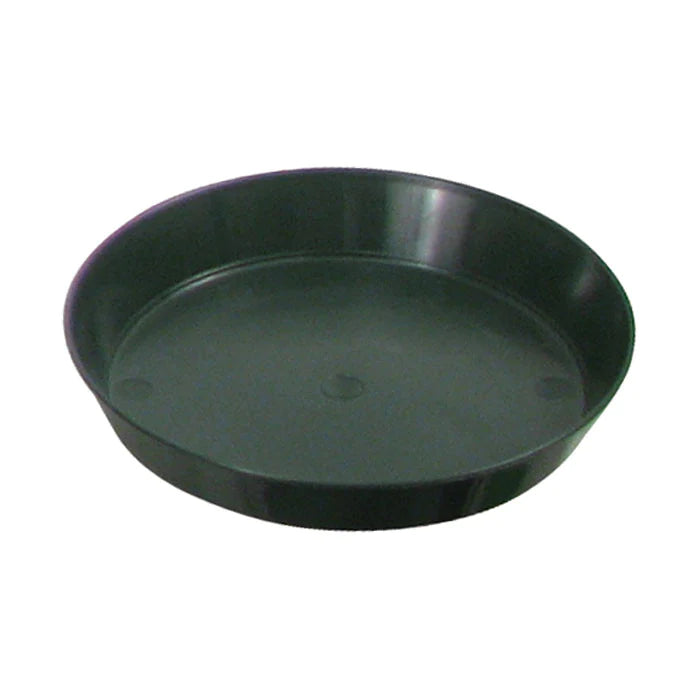 GREEN SAUCER 6IN