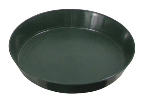 GREEN SAUCER 8IN