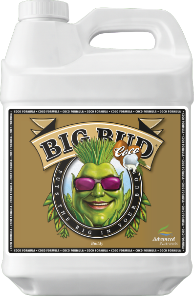 AN BIG BUD COCO 1 L