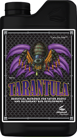 AN TARANTULA 250 ML