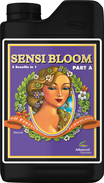 AN SENSI BLOOM A 23 L