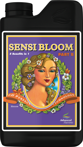 AN SENSI BLOOM B 4 L