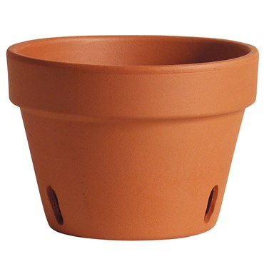 DEROMA ORCHID PLANTER - 8.3 IN