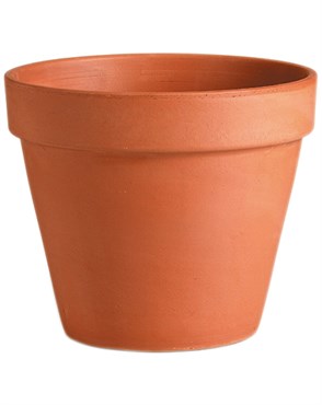 DEROMA STANDARD CLAY POT - 10.6 IN