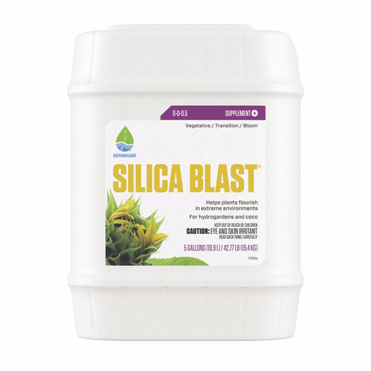 BC SILICA BLAST 5 GAL