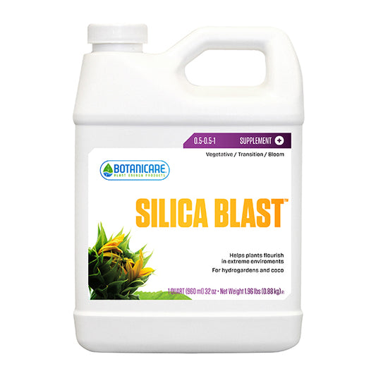 BC SILICA BLAST 1 QT