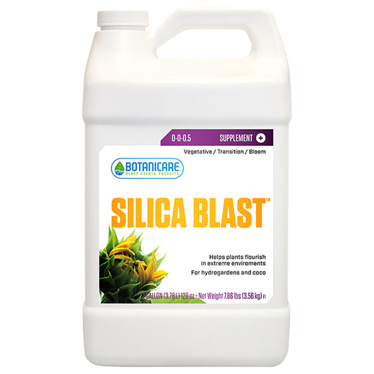 BC SILICA BLAST 1 GAL