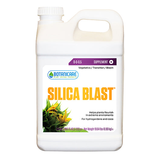 BC SILICA BLAST 2.5 GAL