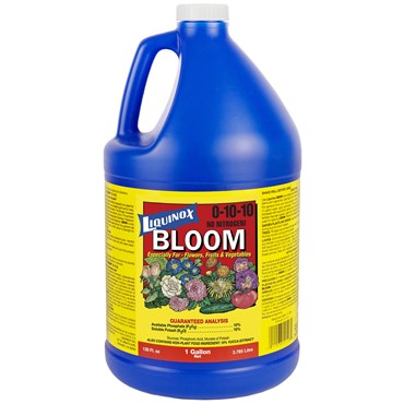 LC BLOOM 1 GAL