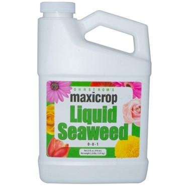 MAXICROP LIQUID SEAWEED 1QT