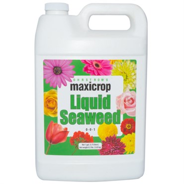 MAXICROP LIQUID SEAWEED 1GAL