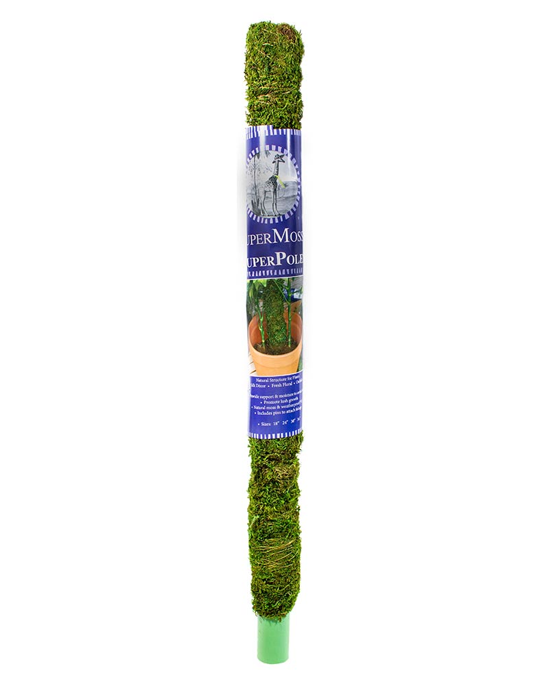 SUPERMOSS GREEN MOSS POLE 24 IN